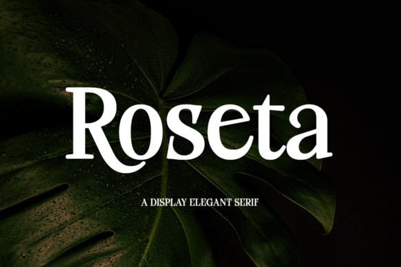 Roseta Display Font for Handmade & Boutique Brands